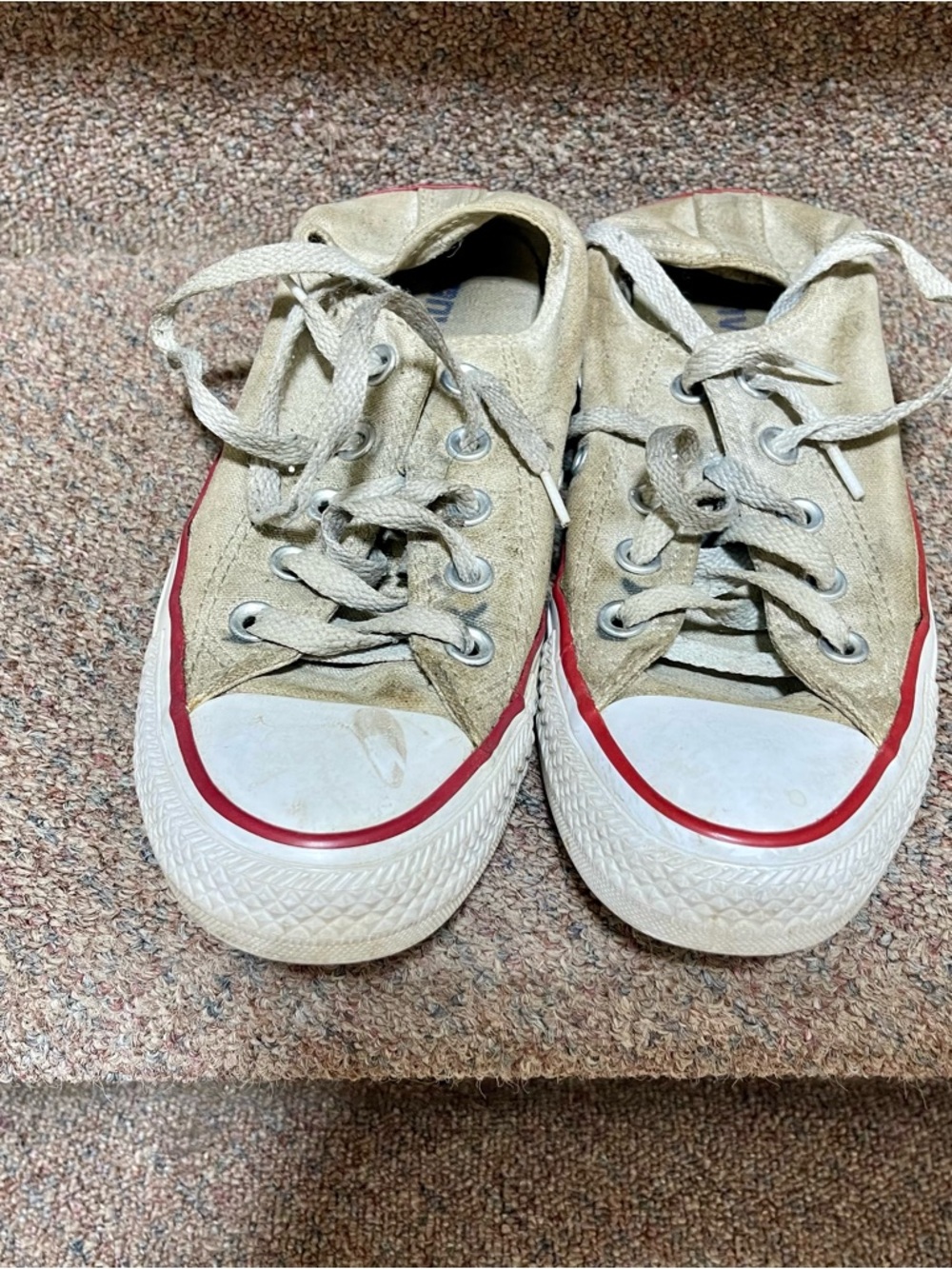 Converse All Stars Size 5.5